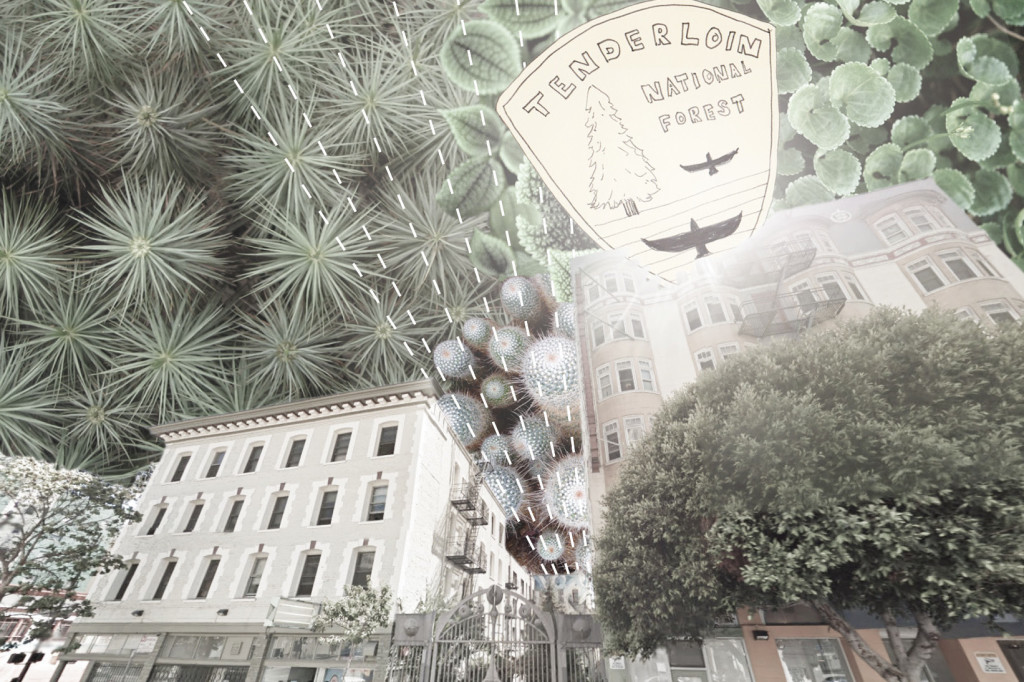 Tenderloin National Forest PopFront